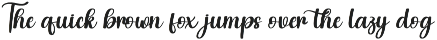 Wrongler | Script Font preview