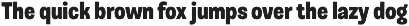Musgo | Soft Condensed Rounded Sans preview