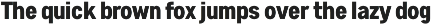 Astute Neo-Grotesque Modern Sans preview