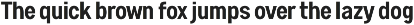 Astute Neo-Grotesque Modern Sans preview