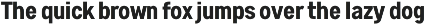 Astute Neo-Grotesque Modern Sans preview