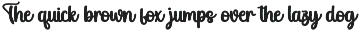 Magnet School | Script Font preview