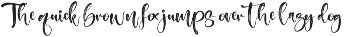 Bristleon - Handwritten Script Font preview