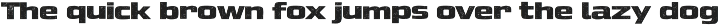 DotBlock Brutalist preview