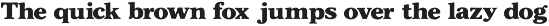 Chorepo Casual Serif Display Font preview