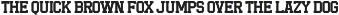 Slugger Union Sporty Font Duo preview