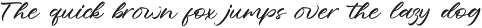 Ramashynta – Beautiful Script Font preview