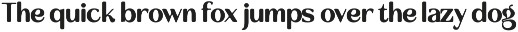 Ravlco — Retro Display Sans preview