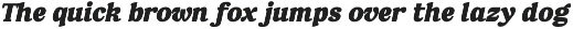 FX Njungkel - Serif Family Font preview