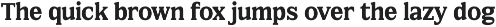 FX Njungkel - Serif Family Font preview