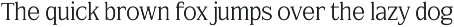 FX Njungkel - Serif Family Font preview