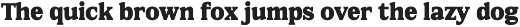 FX Njungkel - Serif Family Font preview