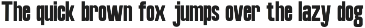 Valvela Bold Modern Logo Font preview