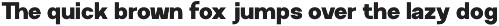 GC Neue Rumble - Modern Elegant Sans preview