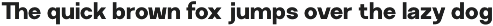 GC Neue Rumble - Modern Elegant Sans preview