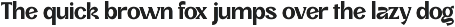 Affinik - Modern Logo Font preview