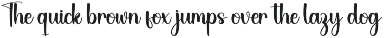 School Holiday | Script Font preview