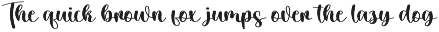Designer Signature | Script Font preview
