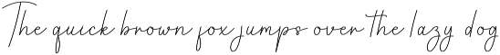 Beauty Santa | Script Font preview