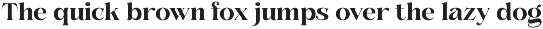 Solvéa – Serif Font Family preview