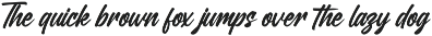 Delaghes - Bold Script Font preview