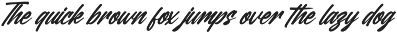 Delaghes - Bold Script Font preview