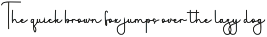 Nanoparticles preview