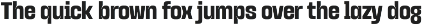 Kepater - Display Sans Family preview
