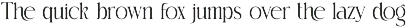 Rokina Elegant Serif Font preview