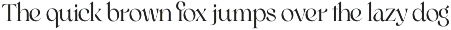 Riona - Luxury Swash Logo Font preview