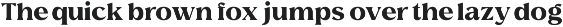 Elegant Editorial Serif - Avella preview