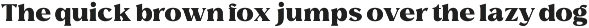 Elegant Editorial Serif - Avella preview