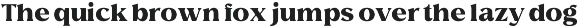 Elegant Editorial Serif - Avella preview