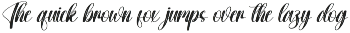 Wonderfull | Script Font preview