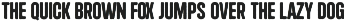 Chigo - Cyrillic Rough Typeface preview