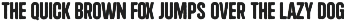 Chigo - Cyrillic Rough Typeface preview