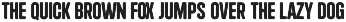 Chigo - Cyrillic Rough Typeface preview