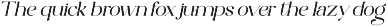 Elegant Serif - Roman Escort preview