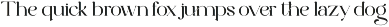 Elegant Serif - Roman Escort preview