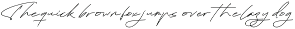 Charlove Rhythm - Signature Font preview