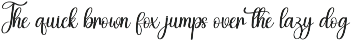 Volleyball | Script Font preview