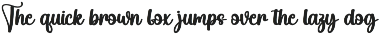 Spicy Chicken | Script Font preview