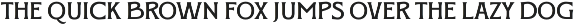 SFC Crest Pier - Duo Font + Extras preview