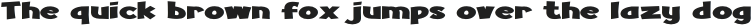 Turnstyle Expanded Bold otf (700)