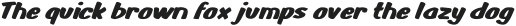 Monkey Buns Bold Italic otf (700)