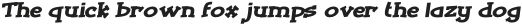 Tickled Bold Italic otf (700)