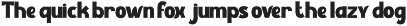 Burger Riot Bold Font preview