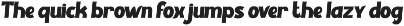 Burger Riot Bold Font preview