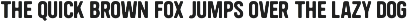 Cuppertinos – Vintage Hand Typeface preview