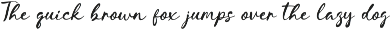 Sling Note - A Modern Script preview